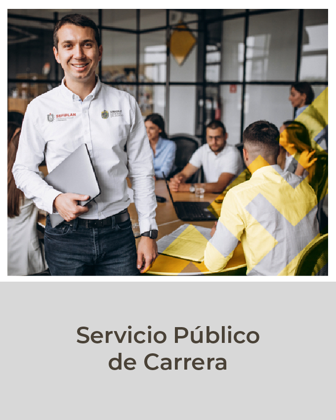 Servicio público de carrera